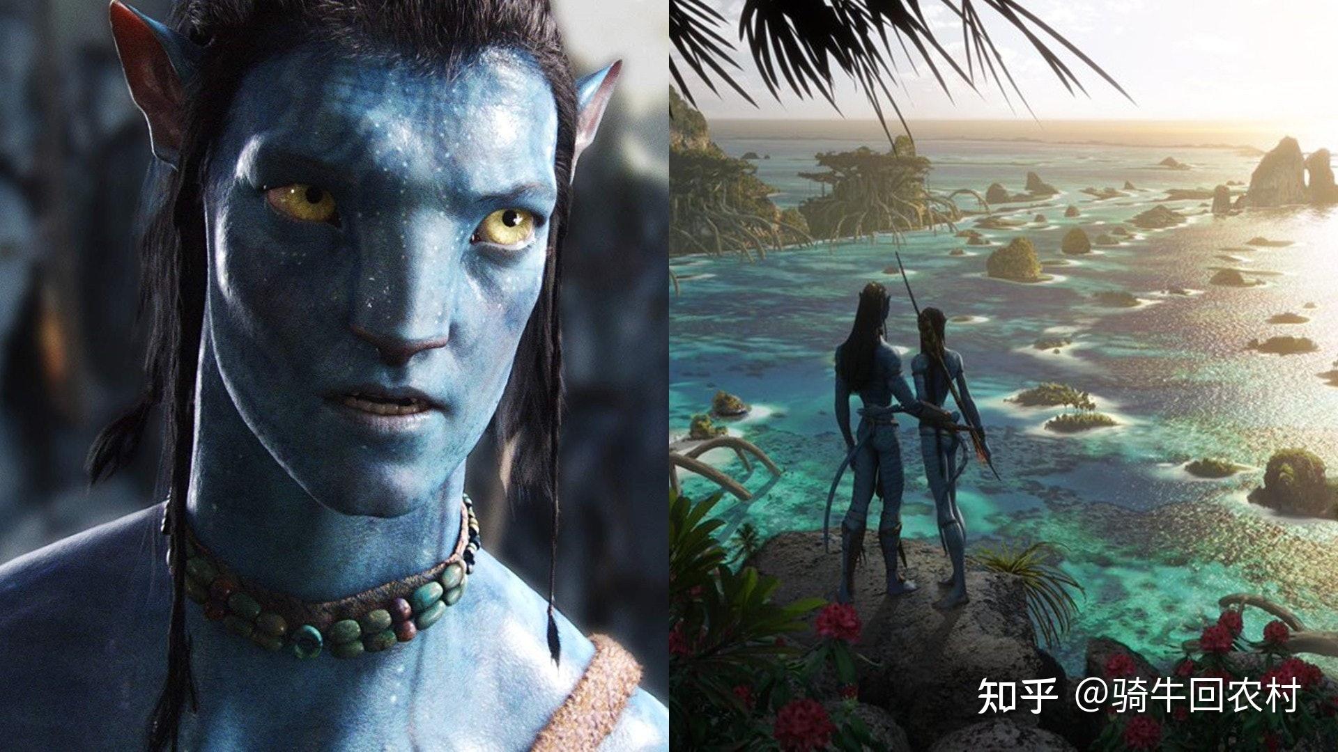 阿凡达3：带种者电影在线免费观看